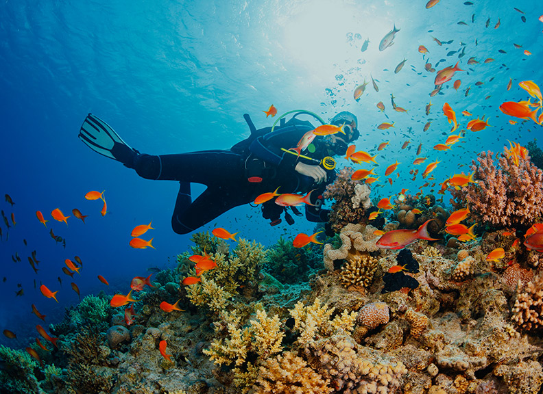 Biologi Laut